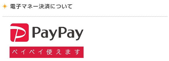 PAYPAYについて